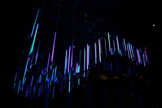 Frame _DSC5614